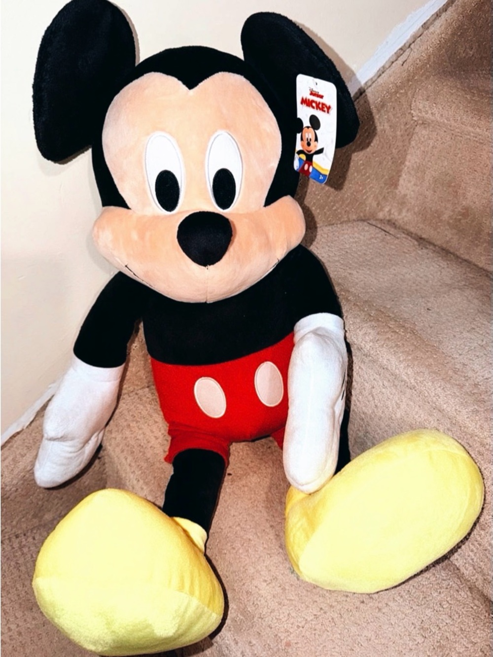 Mickey Mouse Stuffed Animal.